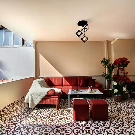 Walton Balat Sterilized * Istanbul